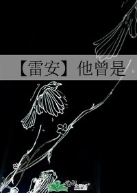 【雷安】他曾是